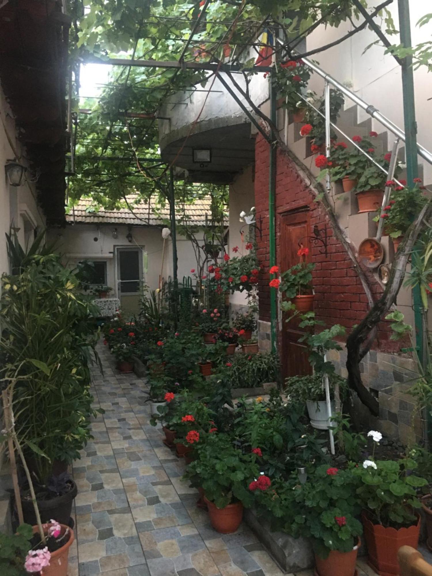 Cazare La Mare Vila Констанца Экстерьер фото