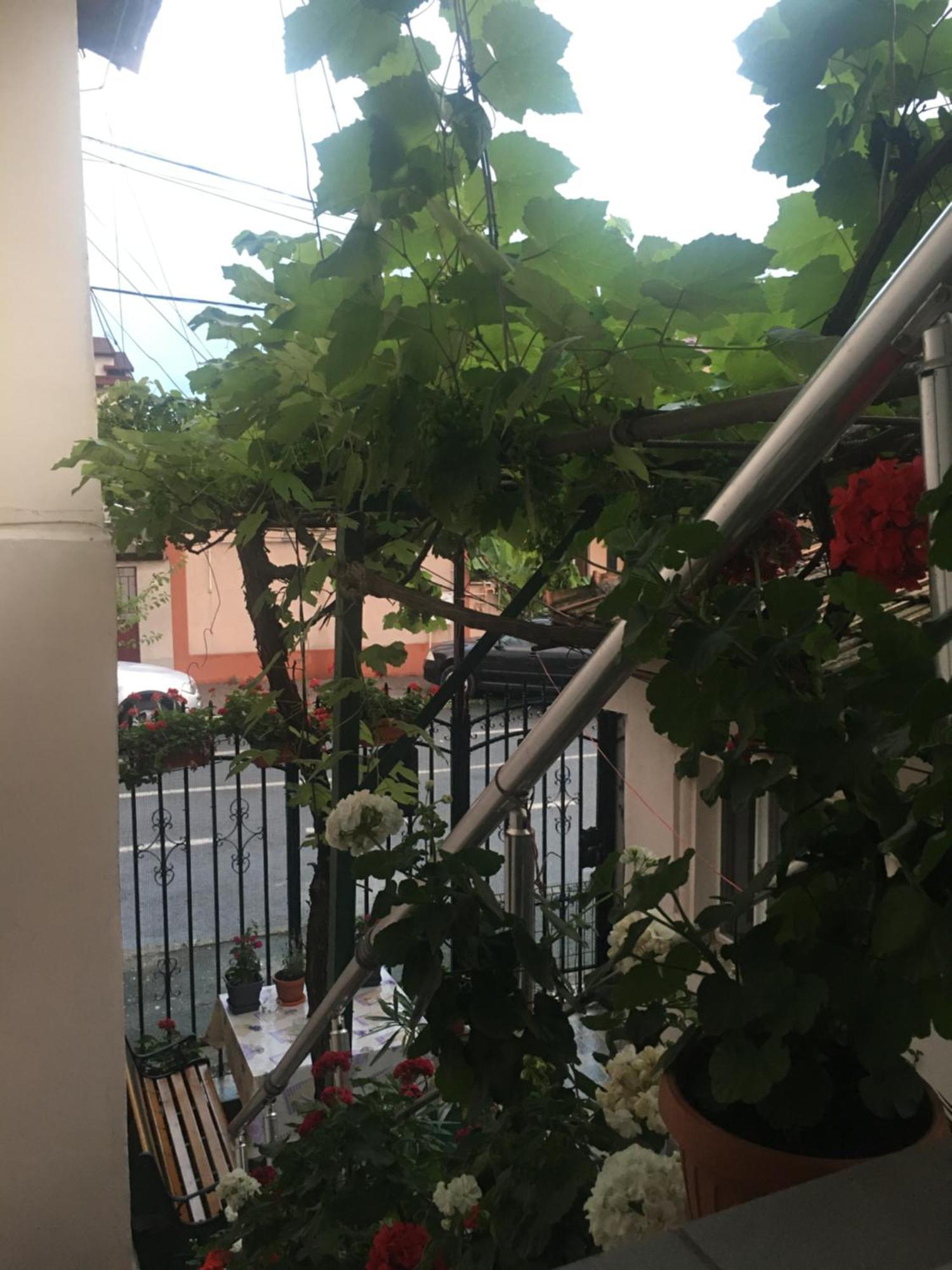 Cazare La Mare Vila Констанца Экстерьер фото